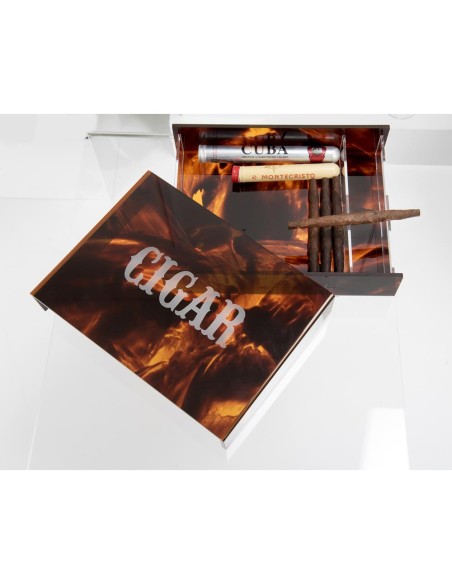 iPLEX Design - Humidor Portasigari Tartarugato in plexiglass - 27x5x21 cm
