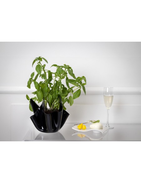 iPLEX Design - Drappeggi Vaso Slim Nero in plexiglass - black - 22x21x22 cm