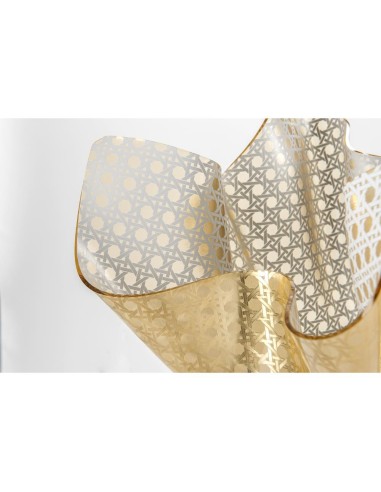 iPLEX Design - Drappeggi Paglia Di Vienna Gold Vaso in plexiglass - 45x29x45 cm