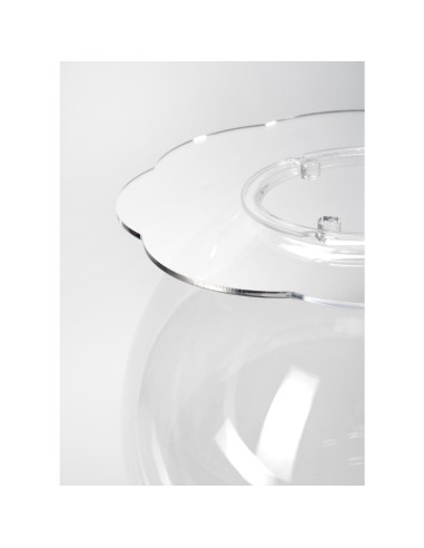 iPLEX Design - Boollino Trasparente in plexiglass - 40x46x40 cm