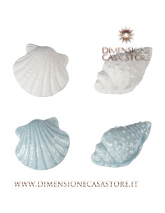 Coccole di Casa - Magnete "Conchiglie" P 4 Ass Bia/Cel 5X3