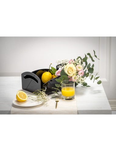 iPLEX Design - Serving Portafrutta Nero in plexiglass - 28,5x13x21 cm