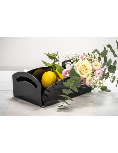 iPLEX Design - Serving Portafrutta Nero in plexiglass - 28,5x13x21 cm
