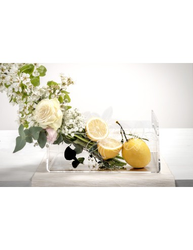 iPLEX Design - Rinascimento Portafrutta Trasp in plexiglass - Trasparente - 29x14,5x21 cm