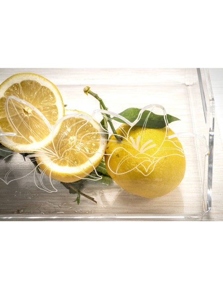 iPLEX Design - Rinascimento Portafrutta Trasp in plexiglass - Trasparente - 29x14,5x21 cm