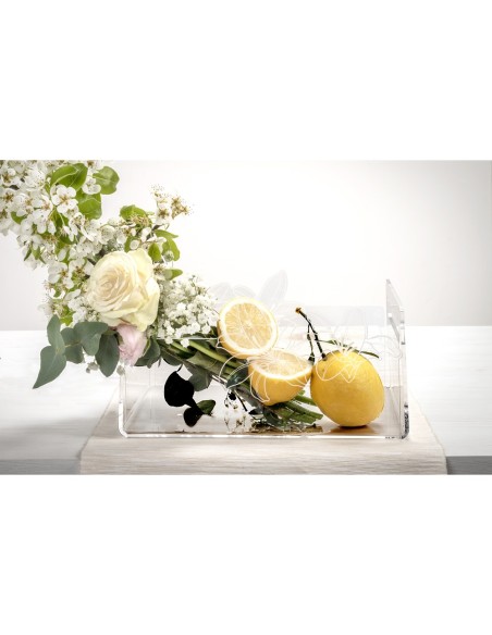 iPLEX Design - Rinascimento Portafrutta Trasp in plexiglass - Trasparente - 29x14,5x21 cm