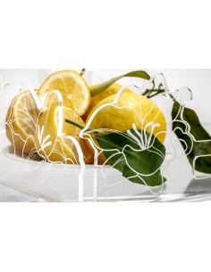 iPLEX Design - Rinascimento Vassoio Grande Trasp in plexiglass - Trasparente - 46x13x32 cm 2