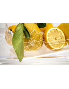 iPLEX Design - Rinascimento Vassoio Piccolo Trasp in plexiglass - Trasparente - 33x9x23 cm 2