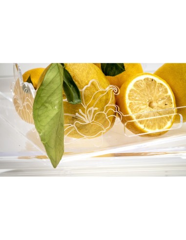 iPLEX Design - Rinascimento Vassoio Piccolo Trasp in plexiglass - Trasparente - 33x9x23 cm