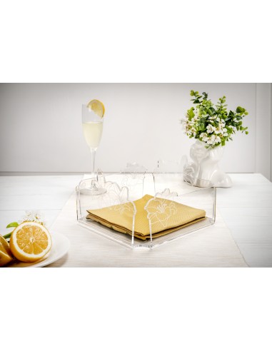 iPLEX Design - Rinascimento P/Tovaglioli Orizzontale Trasp in plexiglass - Trasparente - 22x12x22 cm