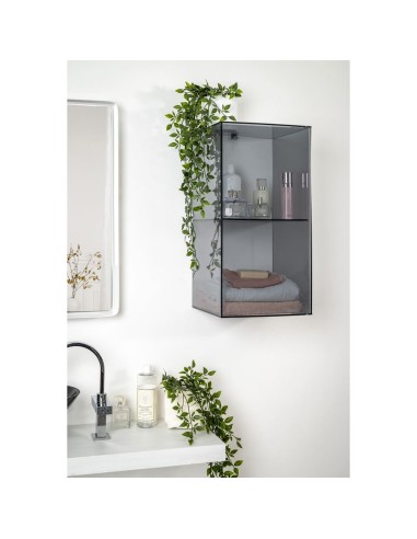 iPLEX Design - Clio Mobiletto Doppio Fume' Da Parete in plexiglass - fumè - 30x60x30 cm