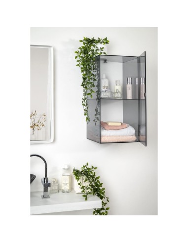 iPLEX Design - Clio Mobiletto Doppio Fume' Da Parete in plexiglass - fumè - 30x60x30 cm
