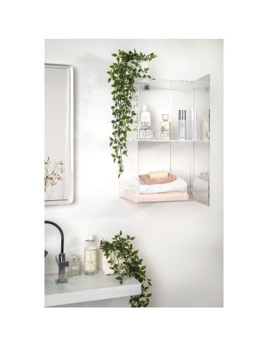 iPLEX Design - Clio Mobiletto Doppio Trasparente Da Parete in plexiglass - 30x60x30 cm