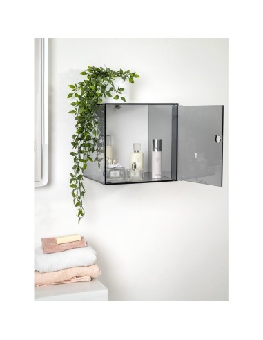 iPLEX Design - Clio Mobiletto Singolo Fume' Da Parete in plexiglass - fumè - 30x30x30 cm