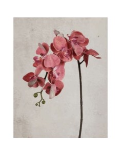 Fiori di Lena - Ramo fiore artificiale orchidea h 94 cm