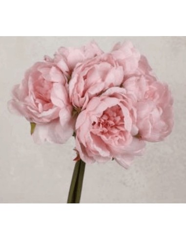 Fiori di Lena - Mazzo 7x peonia h 28 cm