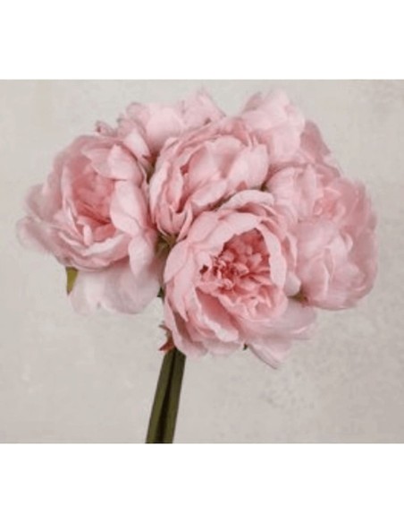 Fiori di Lena - Mazzo 7x peonia h 28 cm