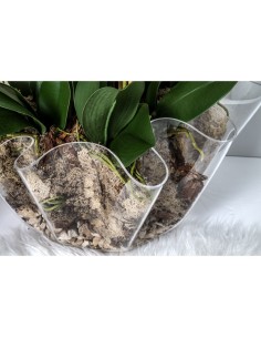 iPLEX Design - Drappeggi Vaso Grande Trasparente in plexiglass - 45x27x47 cm 2