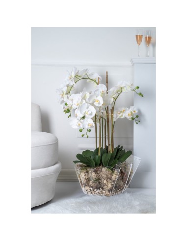 iPLEX Design - Drappeggi Vaso Grande Trasparente in plexiglass - 45x27x47 cm