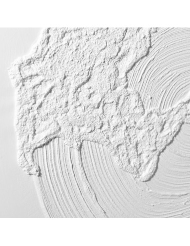 L'Oca Nera - Quadro cm 90x90 con Cornice