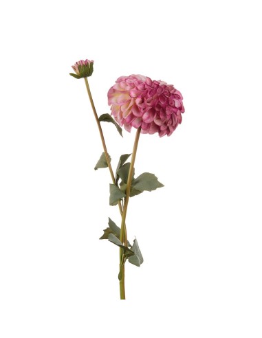 L'Oca Nera - Dalia Viola cm 78h