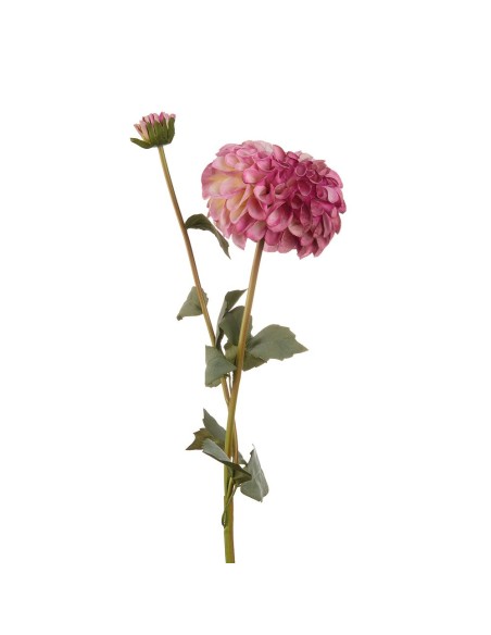 L'Oca Nera - Dalia Viola cm 78h