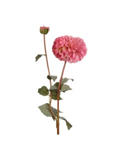L'Oca Nera - Dalia Rosa cm 78h