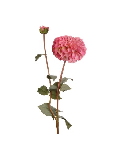 L'Oca Nera - Dalia Rosa cm 78h