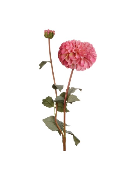 L'Oca Nera - Dalia Rosa cm 78h