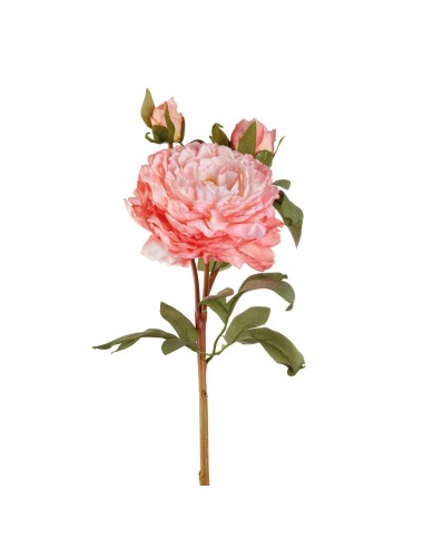L'Oca Nera - Peonia Rosa cm 60h