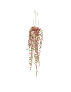 L'Oca Nera - Eucalyptus da Appendere cm Ø13x57h