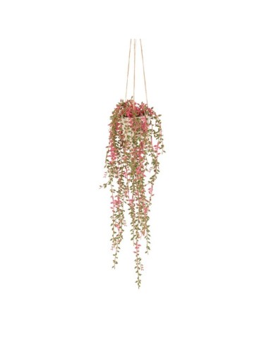 L'Oca Nera - Eucalyptus da Appendere cm Ø13x57h
