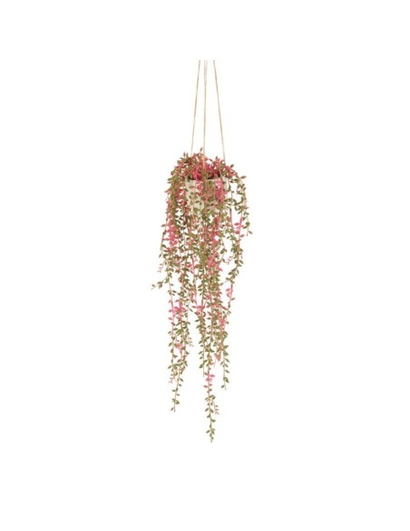 L'Oca Nera - Eucalyptus da Appendere cm Ø13x57h