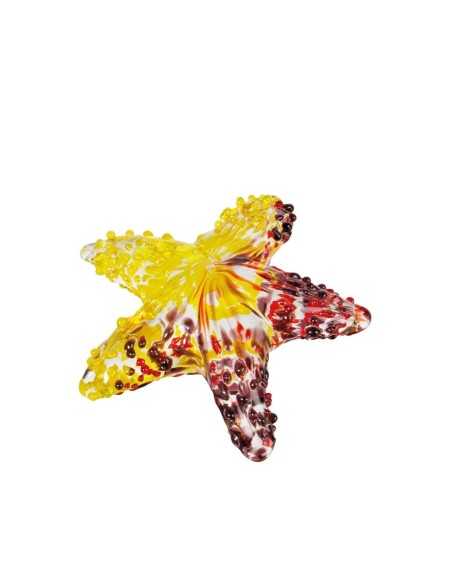 L'Oca Nera - Stella Marina Decorativa - Set 5 pz cm 10x10x3h