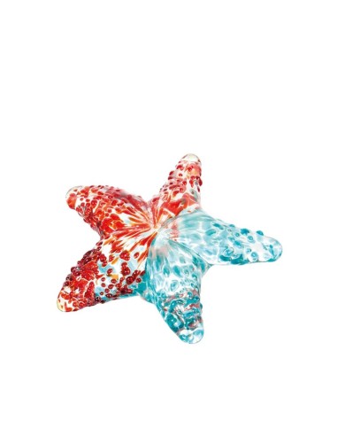 L'Oca Nera - Stella Marina Decorativa - Set 5 pz cm 10x10x3h