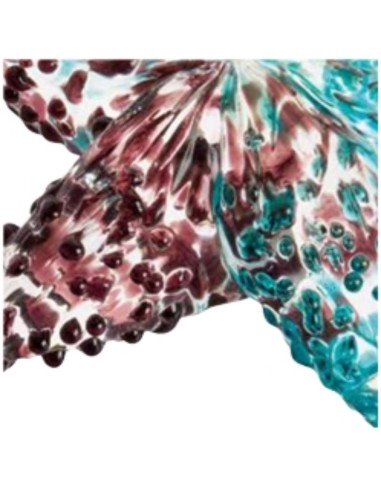 L'Oca Nera - Stella Marina Decorativa - Set 5 pz cm 10x10x3h