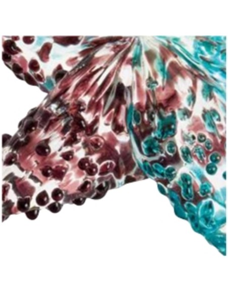 L'Oca Nera - Stella Marina Decorativa - Set 5 pz cm 10x10x3h