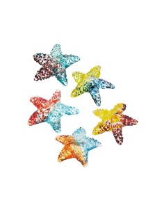 L'Oca Nera - Stella Marina Decorativa - Set 5 pz cm 10x10x3h