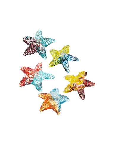 L'Oca Nera - Stella Marina Decorativa - Set 5 pz cm 10x10x3h