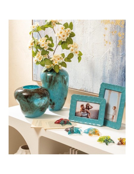 L'Oca Nera - Stella Marina Decorativa - Set 5 pz cm 10x10x3h