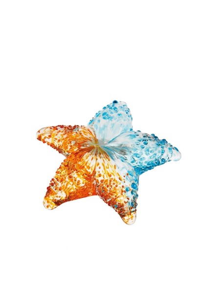 L'Oca Nera - Stella Marina Decorativa - Set 5 pz cm 10x10x3h