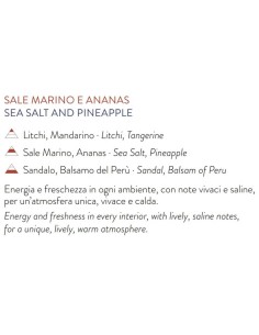 L'Oca Nera - Refill ml 500 Sale marino e Ananas 2