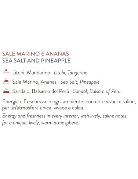 L'Oca Nera - Refill ml 500 Sale marino e Ananas