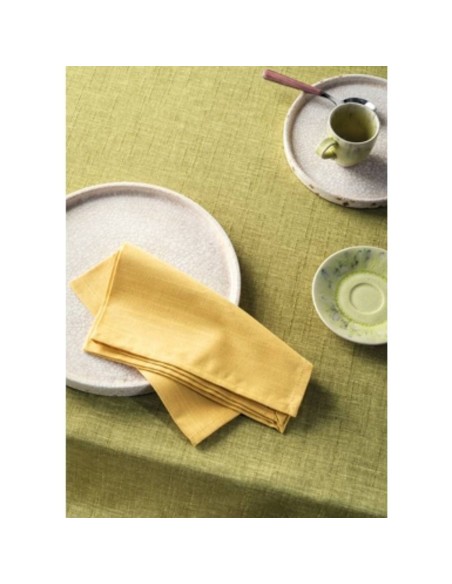 L'Oca Nera - Cardamomo - Tovaglia Antimacchia cm 155 x 230 · 8 posti