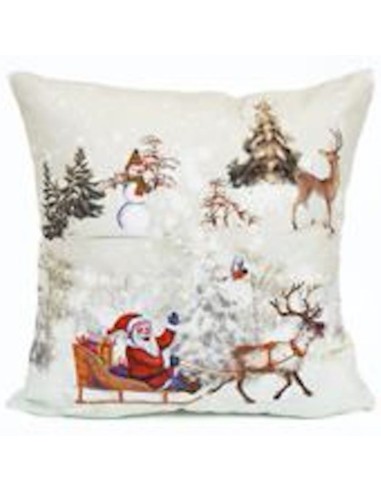 Daunex - Serie Santa Claus Cuscino con Luci A  Led 40x40