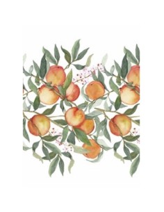 L'Oca Nera - Amalfi - Tovaglia Antimacchia cm 155 x 230 · 8 posti 2