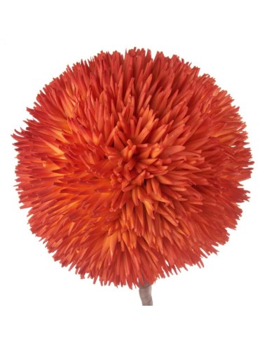 L'Oca Nera - Allium Arancio Arancione 75h