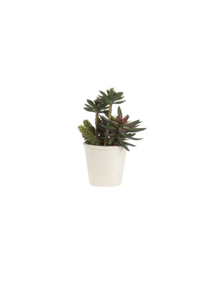 L'Oca Nera - Cactus Verde Ø23x32h
