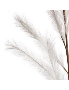 L'Oca Nera - Pampas Bianco Bianco 113h 2