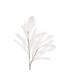 L'Oca Nera - Pampas Bianco Bianco 113h
